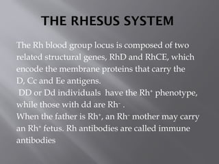 Rh Locus Comprehensive Overview of Immunohematology: Blood Groups, HDN, and ...