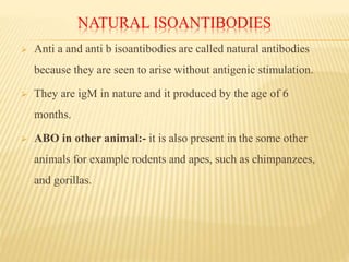 NATURAL ISOANTIBODIES
 Anti a and anti b isoantibodies are called natural antibodies
because they are seen to arise without antigenic stimulation.
 They are igM in nature and it produced by the age of 6
months.
 ABO in other animal:- it is also present in the some other
animals for example rodents and apes, such as chimpanzees,
and gorillas.
 