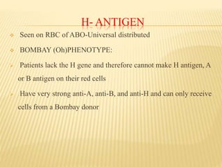 H- ANTIGEN
 Seen on RBC of ABO-Universal distributed
 BOMBAY (Oh)PHENOTYPE:
 Patients lack the H gene and therefore cannot make H antigen, A
or B antigen on their red cells
 Have very strong anti-A, anti-B, and anti-H and can only receive
cells from a Bombay donor
 