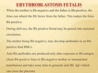 ERYTHROBLASTOSIS FETALIS
 When the mother is Rh-negative and the father is Rh-positive, the
fetus can inherit the Rh factor from the father. This makes the fetus
Rh-positive.
 During delivery, the Rh positive blood may be passed into maternal
circulation.
 The mother being Rh-negative, may develop antibodies to an Rh-
positive fetal RBCs.
 Anti-Rh antibodies are produced only after exposure to Rh-antigen
(from Rh-positive fetus to Rh-negative mother or mismatched
transfusion) and take some time to generate anti-Rh IgG which
can cross the placenta.
 