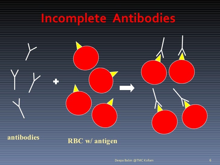 Immunohematology basics