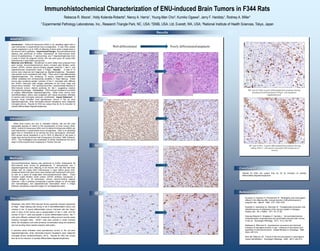 Immunohistochemical staining was performed to further characterize 26
ENU-induced brain tumors (8 glioblastomas, 11 astrocytomas, and 7
oligodendrogliomas) from offspring of 20 Fischer 344 rats that had been
treated with 20 mg/kg ENU intravenously 4 days before giving birth.
Unstained slides from each tumor were stained with hematoxylin and eosin,
as well as a panel of single-label immunohistochemical stains. These
included α-glial fibrillary acidic protein (GFAP) antibody (recognizes a
specific antigen on rat astrocytes), ionized calcium-binding adapter
molecule 1 (Iba-1) antibody (recognizes a specific antigen on rat microglia
and macrophages), and oligodendrocyte transcription factor 2 (Olig2)
antibody (recognizes a specific antigen on rat oligodendrocytes).
Introduction: N-ethyl-N-nitrosourea (ENU) is an alkylating agent that is
used extensively in experimental neuro-oncogenesis. In rats, ENU causes
neural neoplasms in up to 100% of offspring of dams given a single dose in
the second half of gestation. Experimental Design: Immunohistochemical
staining was performed to further characterize 26 ENU-induced brain
tumors (8 glioblastomas, 11 astrocytomas, and 7 oligodendrogliomas) from
a study in which 20 pregnant Fischer 344 rats were given 20 mg/kg ENU
intravenously 4 days before giving birth.
Materials and Methods: Hematoxylin & eosin slides were prepared from
each animal. Immunohistochemical stains included glial fibrillary acidic
protein (GFAP), ionized calcium-binding adapter molecule 1 (Iba-1), and
oligodendrocyte transcription factor 2 (Olig2). Results: A total of 19
tumors were observed and diagnosed as oligodendrogliomas. Neoplastic
cells stained most consistently with Olig2. There were 5 well-differentiated
oligodendrogliomas. The remaining 14 tumors exhibited considerable
cellular anaplasia and corresponding variability in Olig2 staining. These
tumors also contained greater numbers of Iba-1+ microglial cells (diffuse)
and GFAP+ astrocytic cells (largely distributed at the tumor edge and
around blood vessels). The “ependymoma-like,” pseudorosette features of
ENU-induced tumors stained positively for Iba-1, suggesting reactive
microglia/macrophages. Conclusion: ENU-induced neoplasms consisted
of variably differentiated oligodendrogliomas. While some tumors were
well-differentiated, others were anaplastic with robust secondary infiltrates
of reactive cells (microglial, astrocytic, endothelial). Impact Statement: A
previous study indicated most spontaneous tumors in the rat were
oligodendrogliomas, while chemically-induced neoplasms were malignant
microglial tumors. Results for ENU are unique thus far for its induction of
variably differentiated oligodendrogliomas.
Abstract
While brain tumors are rare in untreated rodents, rats are the most
susceptible species of rodent to the development of brain tumors (Rice,
2000). N-ethyl-N-nitrosourea (ENU) and N-methyl-N-nitrosourea (MNU) are
used extensively in experimental neuro-oncogenesis. ENU is an alkylating
agent that is considered to be among the most carcinogenic chemicals.
ENU causes neural neoplasms in up to 100% of offspring of rats given a
single dose during the second half of pregnancy (Druckrey, 1966; Koestner,
1971). This investigation was undertaken to further characterize the cell of
origin in ENU-induced brain neoplasms in Fischer 344 rats.
Results for ENU are unique thus far for its induction of variably
differentiated oligodendrogliomas.
Neoplastic cells within ENU-induced tumors generally showed expression
of Olig2. Olig2 staining was strong in the 5 well-differentiated tumors and
variable in the 14 poorly differentiated tumors. Admixed with the Olig2+
cells in many of the tumors was a subpopulation of Iba-1+ cells, and the
number of Iba-1+ cells was greater in poorly differentiated tumors. Iba-1+
cells were diffusely scattered with occasional cuffing around necrotic areas
(reactive microglial cells). GFAP+ cells were present in small numbers
within the neoplasms and were primarily concentrated along the periphery
and surrounding blood vessels (reactive astrocytes).
A previous study indicated most spontaneous tumors in the rat were
oligodendrogliomas, while chemically-induced neoplasms were malignant
microglial tumors (Kolenda-Roberts, 2013). Results for ENU are unique
thus far for its induction of variably differentiated oligodendrogliomas.
Druckrey H, Ivankovic S, Preussmann R. Teratogenic and carcinogenic
effects in the offspring after a single injection of ethylnitrosourea to
pregnant rats. Nature. 1966. 210: 1378-1379.
Koestner A, Swenberg JA, Wechsler W. Transplacental production with
ethylnitrosourea of neoplasms of the nervous system in Sprague-
Dawley rats. Am J Pathol. 1971. 63: 37-56.
Kolenda-Roberts H, Singletary E, Hardisty J. Immunohistochemical
characterization of spontaneous and acrylonitrile-induced brain tumors
in the rat. Toxicologic Pathology. 2013. 41(1): 98-108.
Maekawa A, Mitsumori K. Spontaneous occurrence and chemical
induction of neurogenic tumors in rats – influence of host factors and
specificity of chemical structure. Critical Reviews in Toxicology. 1990.
20(4): 287-310.
Rice JM, Wilbourn JD. Tumors of the nervous system in carcinogenic
hazard identification. Toxicologic Pathology. 2000. 28(1): 202-214.
Introduction
References
Methods
Conclusion
Discussion
Results
Immunohistochemical Characterization of ENU-induced Brain Tumors in F344 Rats
Rebecca R. Moore1, Holly Kolenda-Roberts2, Nancy A. Harris1, Young-Man Cho3, Kumiko Ogawa3, Jerry F. Hardisty1, Rodney A. Miller1
1 Experimental Pathology Laboratories, Inc., Research Triangle Park, NC, USA; 2SNBL USA, Ltd, Everett, WA, USA; 3National Institute of Health Sciences, Tokyo, Japan
Well-differentiated Poorly differentiated/anaplastic
H&E
Olig2
Iba-1
GFAP
IHC stain for Olig2 in poorly differentiated brain neoplasm showing
anisokaryosis and binucleation of Olig2+ cells (neoplastic
oligodendrocytes).
IHC stain for Iba-1 in poorly differentiated brain neoplasm showing
cuffing of Iba-1+ cells (reactive microglial cells) around area of
necrosis.
 