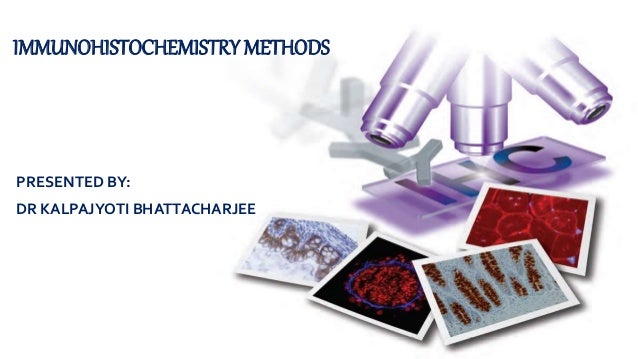 immunohistochemistry methods 1 638 jpg cb 1460210824 immunohistochemistry