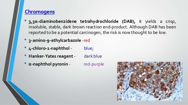 immunohistochemistry methods immunohistochemistry