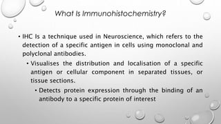 What Is Immunohistochemistry?
• IHC Is a technique used in Neuroscience, which refers to the
detection of a specific antigen in cells using monoclonal and
polyclonal antibodies.
• Visualises the distribution and localisation of a specific
antigen or cellular component in separated tissues, or
tissue sections.
• Detects protein expression through the binding of an
antibody to a specific protein of interest
 