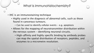 • IHC is an immunostaining technique
• Highly used in the diagnosis of abnormal cells, such as those
found in cancerous tumours.
• Can be used to identify cellular events – e.g. apoptosis
• Allows for the mapping of neurotransmitter distribution within
the nervous system – identifying neuronal circuits.
• High-affinity and highly specific binding by antibody probes
can map the spatial distribution of receptors, peptides, and
enzymes to a micrometre resolution.
What Is Immunohistochemistry?
 