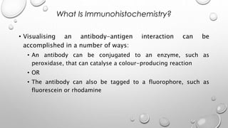 • Visualising an antibody-antigen interaction can be
accomplished in a number of ways:
• An antibody can be conjugated to an enzyme, such as
peroxidase, that can catalyse a colour-producing reaction
• OR
• The antibody can also be tagged to a fluorophore, such as
fluorescein or rhodamine
What Is Immunohistochemistry?
 