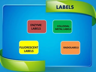 principle of Immunohistochemistry and its use in diagnostics | PPTX