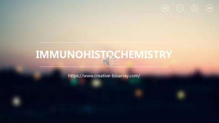 IMMUNOHISTOCHEMISTRY
https://www.creative-bioarray.com/
 