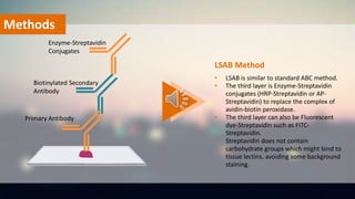 Methods
• LSAB is similar to standard ABC method.
• The third layer is Enzyme-Streptavidin
conjugates (HRP-Streptavidin or AP-
Streptavidin) to replace the complex of
avidin-biotin peroxidase.
• The third layer can also be Fluorescent
dye-Streptavidin such as FITC-
Streptavidin.
• Streptavidin does not contain
carbohydrate groups which might bind to
tissue lectins, avoiding some background
staining.
LSAB Method
Primary Antibody
Biotinylated Secondary
Antibody
Enzyme-Streptavidin
Conjugates
 