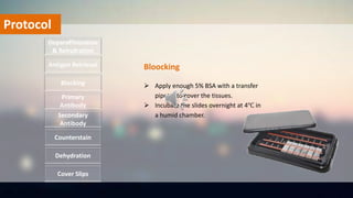 Protocol
 Apply enough 5% BSA with a transfer
pipette to cover the tissues.
 Incubate the slides overnight at 4℃ in
a humid chamber.
Deparaffinization
& Rehydration
Antigen Retrieval
Blocking
Primary
Antibody
Secondary
Antibody
Dehydration
Counterstain
Cover Slips
Bloocking
 