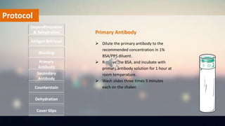 Protocol
 Dilute the primary antibody to the
recommended concentration in 1%
BSA/PBS diluent.
 Remove the BSA, and incubate with
primary antibody solution for 1 hour at
room temperature.
 Wash slides three times 5 minutes
each on the shaker.
Deparaffinization
& Rehydration
Antigen Retrieval
Blocking
Primary
Antibody
Secondary
Antibody
Dehydration
Counterstain
Cover Slips
Primary Antibody
 