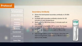 Protocol
 Dilute the biotinylated secondary antibody in 1% BSA
diluent.
 Incubate with secondary antibody solution for 30
minutes at room temperature.
 Wash slides in PBS three times, 5 minutes each on
the shaker.
 Add enough streptavidin HRP to cover the tissues.
Incubate for 30 minutes at room temperature.
 Wash three times 5 minutes each in PBS on the
shaker.
 Add enough DAB to cover the tissues. Once the cells
start turning brown, wash twice in PBS for 5 minutes
each on the shaker.
Deparaffinization
& Rehydration
Antigen Retrieval
Blocking
Primary
Antibody
Secondary
Antibody
Dehydration
Counterstain
Cover Slips
Secondary Antibody
 