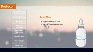 Protocol
Deparaffinization
& Rehydration
Antigen Retrieval
Blocking
Primary
Antibody
Secondary
Antibody
Dehydration
Counterstain
 Apply coverslip to slide.
 Let the slides dry overnight.
Cover Slips
Cover Slips
 