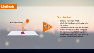 Methods
• One step staining method
• Labeled antibodies react directly with
the antigen
• This method utilizes only one antibody
and the procedure is short and quick
• It is insensitive due to little signal
amplification and rarely used since the
introduction of indirect method
Direct Method
Primary Antibody
 