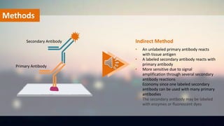 Methods
• An unlabeled primary antibody reacts
with tissue antigen
• A labeled secondary antibody reacts with
primary antibody
• More sensitive due to signal
amplification through several secondary
antibody reactions
• Economy since one labeled secondary
antibody can be used with many primary
antibodies
• The secondary antibody may be labeled
with enzymes or fluorescent dyes
Indirect Method
Primary Antibody
Secondary Antibody
 