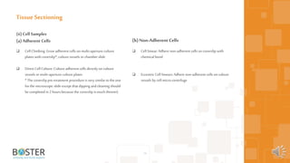 14
(ii)Cell Samples
(a) Adherent Cells
 Cell Climbing: Growadherent cells on multi-aperture culture
plates with coverslip*, culture vessels orchamber slide
 Direct Cell Culture: Cultureadherent cells directly on culture
vessels or multi-aperture culture plates
* The coverslip pre-treatment procedure is very similarto the one
forthe microscopic slide except that dipping andcleaning should
be completed in 2 hours because the coverslip is much thinner)
Tissue Sectioning
(b) Non-AdherentCells
 Cell Smear: Adhere non-adherent cells on coverslip with
chemical bond
 Eccentric Cell Smears: Adhere non-adherent cells on culture
vessels by cell micro-centrifuge
 