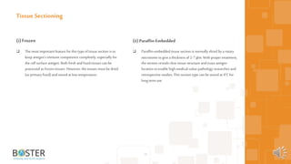 16
(i) Frozen
 The most important feature forthis type oftissue section is to
keep antigen’s immune competence completely, especially for
the cell surface antigen. Both fresh andfixed tissues can be
processed as frozen tissues. However, the tissues must be dried
(or primaryfixed) andstored at lowtemperature.
Tissue Sectioning
(ii) Paraffin-Embedded
 Paraffin-embedded tissue section is normallysliced by a rotary
microtome togivea thickness of2-7 μm. With proper treatment,
the section reveals clear tissue structure andexact antigen
location toenable high medical-value pathology researches and
retrospective studies. This section type can be stored at 4°Cfor
long term use.
 