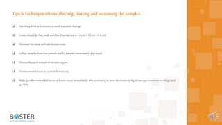  Use sharpknife andscissors to avoidextrusion damage
 Cutter should be flat,small and thin (Normal size is 1.0 cm ×1.0 cm ×0.2 cm)
 Eliminate fat tissue andcalcification zone
 Collect samples from live animals and fix samples immediately after wash
 Choose diseased instead of necrotic region
 Choose normal tissue as control if necessary
 Make paraffin-embedded tissue orfrozen tissue immediately after sectioning orstore the tissues in liquid nitrogen container or refrigerator
at -70°C
17
Tips & Techniquewhencollecting, fixating and sectioning the samples
 