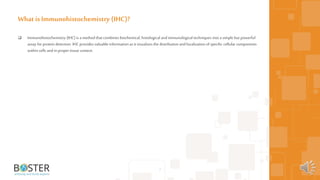  Immunohistochemistry (IHC) is a method that combines biochemical, histological andimmunological techniques intoa simple but powerful
assay forprotein detection. IHC provides valuable information as it visualizes the distribution andlocalization ofspecific cellular components
within cells andin proper tissue context.
2
What is Immunohistochemistry (IHC)?
 