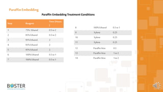 23
Paraffin Embedding
Paraffin Embedding Treatment Conditions
Step Reagent
Time (Hours
)
1 75% Ethanol 0.5 to 2
2 85%Ethanol 0.5 to 2
3 95%Ethanol. 2
4 95%Ethanol 2
5 95%Ethanol 2
6 100%Ethanol 0.5 to 1
7 100%Ethanol 0.5 to 1
8 100%Ethanol 0.5 to 1
9 Xylene 0.25
10 Xylene 0.25
11 Xylene 0.25
12 Paraffin Wax 0.5
13 Paraffin Wax 1 to 2
14 Paraffin Wax 1 to 2
 