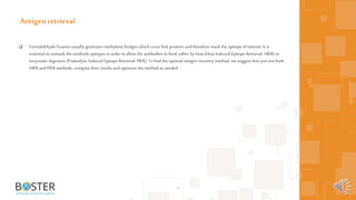  Formaldehyde fixation usually generates methylene bridges which cross-link proteins andtherefore mask the epitope ofinterest. It is
essential tounmask the antibody epitopes in ordertoallow the antibodies tobind,either by heat (Heat Induced Epitope Retrieval: HIER) or
enzymatic digestion (Proteolytic Induced Epitope Retrieval: PIER). To findthe optimal antigen recovery method, we suggest that you test both
HIER andPIERmethods, compare their results and optimize the method as needed.
28
Antigen retrieval
 