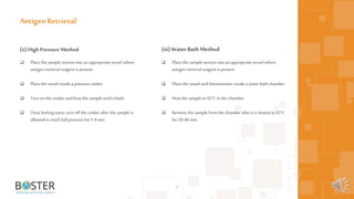30
(ii) High Pressure Method
 Place the sample section intoan appropriatevessel where
antigen retrieval reagent is present
 Place the vessel inside a pressure cooker
 Turn on the cooker andheat the sample until it boils
 Once boiling starts, turn offthe cooker after the sample is
allowed toreach full pressure for1-4 min
Antigen Retrieval
(iii) WaterBath Method
 Place the sample section intoan appropriatevessel where
antigen retrieval reagent is present
 Place the vessel andthermometer inside a water bath chamber
 Heat the sample to 92°Cin the chamber
 Remove the sample from the chamber after it is heated at 92°C
for20-40 min
 