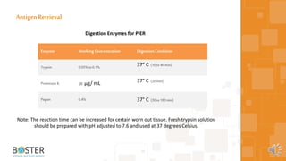 33
Antigen Retrieval
Enzyme Working Concentration Digestion Condition
Trypsin 0.05% to0.1% 37° C (10 to40 min)
Proteinase K 20 μg/ mL 37° C (20 min)
Pepsin 0.4% 37° C (30 to180 min)
Digestion Enzymes for PIER
Note: The reaction time can be increased for certain worn out tissue. Fresh trypsin solution
should be prepared with pH adjusted to 7.6 and used at 37 degrees Celsius.
 