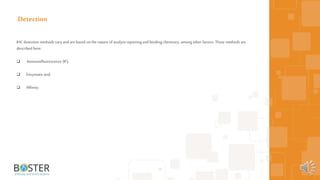 IHC detection methods varyandarebased on the nature ofanalyze reporting and binding chemistry, among other factors. Three methods are
described here:
 Immunofluorescence (IF),
 Enzymatic and,
 Affinity.
35
Detection
 