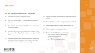 37
(ii) Tips: OperationsofFluorescence Microscope
 Operatethe microscopeaccordingtothe manual
 Turnonthe mercurylamp for5-15 mintostabilize thelight source
beforeuse
 Wearprotectiveglasseswhenadjustinglightsourcetoavoidharmful
ultravioletraystoeyes
 Intensityofhighpressuremercurylampwill dropifthe lamp isused
formorethan 90 min(Typically,thelamp iscontinuouslyusedfor1-2
hours)
 Photo-bleachingoccursifthe sampleisilluminatedby highpressure
mercurylamp formorethan 3 min(Note: Thesampleisgenerally
observedwithinone hourafterfluorescencestaining)
Detection
 Observe the samples intensively tosave time as light source is
limited
 Re-start the light source after turning it offfor 30 min orlonger
 Avoid using the light source several times during the day
 Observe samples immediately after staining
 There arefour levels forfluorescence intensity:
－:Non orweakly visible autofluorescence
＋:Clearlyvisible fluorescence
＋＋:Brightly visible fluorescence
＋＋＋:Dazzlingvisible fluorescence
 
