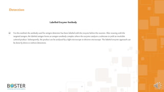  For this method, the antibody used forantigen detection has been labeled with the enzyme before the reaction. After reacting with the
targeted antigen, the labeled antigen forms an antigen-antibody complex where the enzyme catalyzes a substrate toyield aninsoluble
colored product. Subsequently, the product can be analyzedby a light microscope orelectron microscope. The labeled-enzyme approach can
be done by direct orindirect detections.
40
Detection
Labelled-Enzyme Antibody
 
