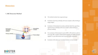 46
1. ABCDetection Method
Detection
 The methodinvolvesfoursequentialsteps
 Incubationofprimaryantibodywithtissuesampletoallowbinding to
targetantigen
 Incubationofbiotinylatedsecondaryantibody(whichhasspecificity
againstprimaryantibody) withtissuesampletoallowbinding to
primaryantibody
 Pre-incubationofbiotinylated enzyme(HRP orAP) withfreeavidinto
formlargeABC complexes(Biotinylatedenzyme and avidinaremixed
togetherina pre-determinedratiotopreventavidinsaturation)
 Incubationofthe abovepre-incubatedsolutiontotissuesample
 