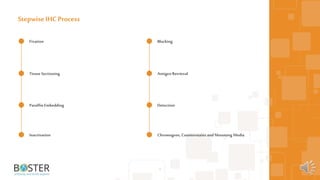 5
Stepwise IHC Process
Fixation
Tissue Sectioning
Paraffin Embedding
Inactivation
Blocking
Antigen Retrieval
Detection
Chromogens, Counterstains andMounting Media
 