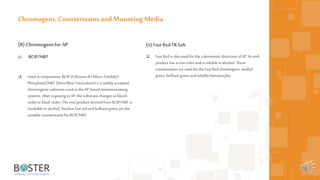 50
(B) Chromogensfor AP
(i) BCIP/NBT
 Used in conjunction, BCIP(5-Bromo-4-Chloro-3-Indolyl-
Phosphate)/NBT (Nitro Blue Tetrazolium) is a widely accepted
chromogenic substrate used in the AP-based immunostaining
systems. After exposing toAP, the substrate changes tobluish
violet orblack violet. The end-product derived from BCIP/NBT is
insoluble in alcohol. Nuclear fast redandbrilliant green arethe
suitable counterstains forBCIP/NBT.
Chromogens, Counterstains and Mounting Media
(ii) Fast RedTRSalt
 Fast Red is also used forthe colorimetric detection ofAP. Itsend-
product has a rose color and is soluble in alcohol. These
counterstains areused forthe Fast Red chromogens: methyl
green, brilliantgreen andsoluble hematoxylin.
 