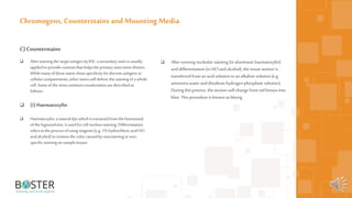 51
C)Counterstains
 Afterstainingthe targetantigenbyIHC, asecondarystainisusually
appliedtoprovidecontrastthat helpsthe primarystainmoredistinct.
While manyofthesestainsshowspecificityfordiscreteantigensor
cellularcompartments,otherstainswill deliverthestainingofa whole
cell.Someofthe mostcommoncounterstainsaredescribedas
follows:
 (i) Haematoxylin
 Haematoxylin,a naturaldye whichisextractedfromthe heartwood
ofthe logwoodtree,isusedfor cellnucleusstaining.Differentiation
refersto the processofusingreagents(e.g. 1% hydrochloricacidHCl
and alcohol)toremovethe colorcausedbyoverstainingornon-
specificstainingonsampletissues
Chromogens, Counterstains and Mounting Media
 After running nucleolar staining (in aluminum haematoxylin)
anddifferentiation (in HCl andalcohol), the tissue section is
transferred from anacid solution toan alkaline solution (e.g.
ammonia water anddisodium hydrogen phosphate solution).
Duringthis process, the section will change from redbrown into
blue. This procedure is known as bluing.
 