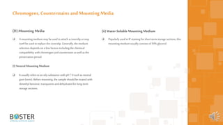 53
(D)Mounting Media
 Amounting medium may beused toattach a coverslip or may
itself be used toreplace the coverslip. Generally, the medium
selection depends on a few factors including the chemical
compatibility with chromogen andcounterstain as well as the
preservation period.
(I) Neutral Mounting Medium
 It usually refers toan oily substance with pH 7.0 such as neutral
gum (resin). Before mounting, the sample should be treated with
dimethyl benzene, transparent anddehydrated for long-term
storage sections.
Chromogens, Counterstains and Mounting Media
(ii) Water-Soluble MountingMedium
 Popularly used in IF staining forshort-term storage sections, this
mounting medium usually consists of50% glycerol.
 