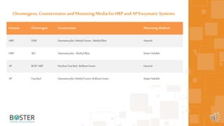 54
Chromogens, Counterstains and Mounting Media forHRP andAP Enzymatic Systems
Enzyme Chromogen Counterstain Mounting Medium
HRP DAB Haematoxylin, Methyl Green, Methyl Blue Neutral
HRP AEC Haematoxylin, Methyl Blue Water Soluble
AP BCIP/NBT Nuclear Fast Red, Brilliant Green Neutral
AP Fast Red Haematoxylin, Methyl Green, Brilliant Green Water Soluble
 