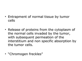 • Entrapment of normal tissue by tumor
cells
• Release of proteins from the cytoplasm of
the normal cells invaded by the tumor,
with subsequent permeation of the
interstitium and non specific absorption by
the tumor cells.
• “Chromogen freckles”
 