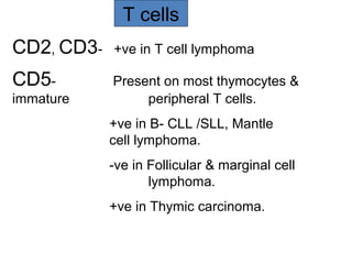 T cells
CD2, CD3- +ve in T cell lymphoma
CD5- Present on most thymocytes &
immature peripheral T cells.
+ve in B- CLL /SLL, Mantle
cell lymphoma.
-ve in Follicular & marginal cell
lymphoma.
+ve in Thymic carcinoma.
 