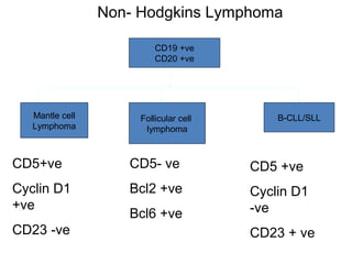 CD19 +ve
CD20 +ve
Mantle cell
Lymphoma
Follicular cell
lymphoma
B-CLL/SLL
CD5+ve
Cyclin D1
+ve
CD23 -ve
CD5- ve
Bcl2 +ve
Bcl6 +ve
CD5 +ve
Cyclin D1
-ve
CD23 + ve
Non- Hodgkins Lymphoma
 