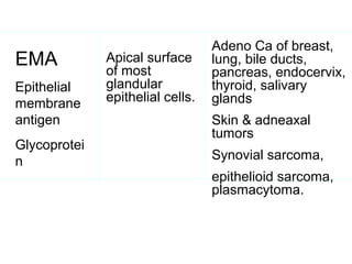 EMA
Epithelial
membrane
antigen
Glycoprotei
n
Apical surface
of most
glandular
epithelial cells.
Adeno Ca of breast,
lung, bile ducts,
pancreas, endocervix,
thyroid, salivary
glands
Skin & adneaxal
tumors
Synovial sarcoma,
epithelioid sarcoma,
plasmacytoma.
 