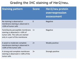 Grading the IHC staining of Her2/neu.
Staining pattern Score Her2/neu protein
overrexpression
asssessment
No staining is observed or
membrane staining is observed in
<10% of tumor cells
0 Negative
Faint/barely perceptible membrane
staining is detected in >10% of
tumor cells. The cells are stained
only in a part of the membrane
1+ Negative
A weak to moderate complete
membrane staining is observed in
>10% of the tumor cells
2+ Weakly positive
A strong and complete membrane
staining is observed in >10% of the
tumor cells
3+ Strongly positive
 
