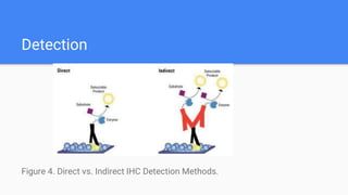 Immunohistochemistry principle | PPTX