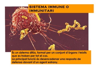 SISTEMA IMMUNE O IMMUNITARI És un sistema difós, format per un conjunt d’òrgans i teixits que es troben per tot el cos. La principal funció és desencadenar una resposta de defensa davant d’un agent estrany. 