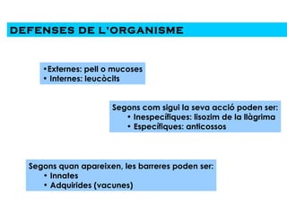 DEFENSES DE L’ORGANISME  Externes: pell o mucoses Internes: leucòcits Segons com sigui la seva acció poden ser: Inespecífiques: lisozim de la llàgrima Específiques: anticossos Segons quan apareixen, les barreres poden ser: Innates Adquirides (vacunes) 