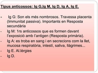 Tipus anticossos: Ig G,Ig M, Ig D, Ig A, Ig E.
- Ig G: Son els més nombrosos. Travessa placenta
(Immunitat passiva). Importants en Resposta
secundària
- Ig M: 1rs anticossos que es formen davant
l’exposició amb l’antigen (Resposta primària).
- Ig A: es troba en sang i en secrecions com la llet,
mucosa respiratòria, intestí, saliva, llàgrimes...
- Ig E. Al.lèrgies
- Ig D.
 