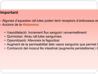 Important:
- Algunes d’aquestes cèl.lules poden tenir receptors d’anticossos en
- Accions de la Histamina:
• Vasodilatació: Increment flux sanguini i envermelliment
• Quimiotaxi: Atrau cèl.lules sanguínies.
• Opsonització: Afavoreix la fagocitosi
• Augment de la permeabilitat dels vasos sanguinis que permet la
• Contracció del múscul llis intestinal (augmenta peristaltisme( i b
 
