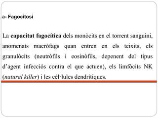 a- Fagocitosi
La capacitat fagocítica dels monòcits en el torrent sanguini,
anomenats macròfags quan entren en els teixits, els
granulòcits (neutròfils i eosinòfils, depenent del tipus
d’agent infecciós contra el que actuen), els limfòcits NK
(natural killer) i les cèl·lules dendrítiques.
 