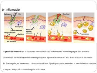 El procés inflamatori que té lloc com a conseqüència de l’alliberament d’histamina per part dels mastòcits
(als teixits) o els basòfils (en el torrent sanguini) quan aquests són activats a l’inici d’una infecció. L’increment
del flux sanguini, de temperatura i l’atracció de cèl·lules fagocítiques que es produeix a la zona inflamada afavoreix
la resposta inespecífica contra els agents infecciosos.
b- Inflamació
 