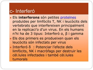 c- Interferó
● Els interferons són petites proteïnes
produïdes per limfòcits T, NK i leucòcits dels
vertebrats que interfereixen principalment
en la replicaci’o d’un virus. En els humans
n’hi ha de 3 tipus: Interferó α, β i gamma
● Els dos primers es produeixen quan els
leucòcits són infectats per virus
● Interferó δ : Potenciar l’efecte dels
limfòcits, NK i macròfags per destruir les
cèl.lules infectades i també cèl.lules
tumorals
 